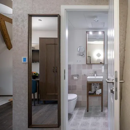 Altstadthotel Der Patrizier Hotel Řezno
